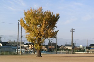 11.11