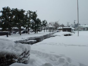 s-P1250044