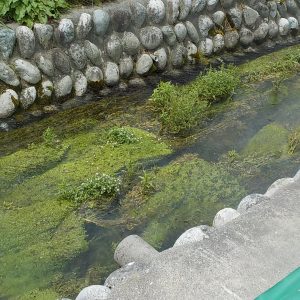 DSCN2856